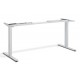 Zero Dual Motor Entry Height Adjustable Desk